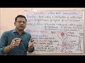 Diuretic (Part-01)= Basic Introduction of Diuretics (HINDI) By Solution Pharmacy