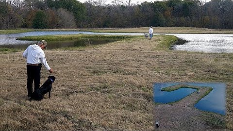 Single Point Mark with Bill Hillmann