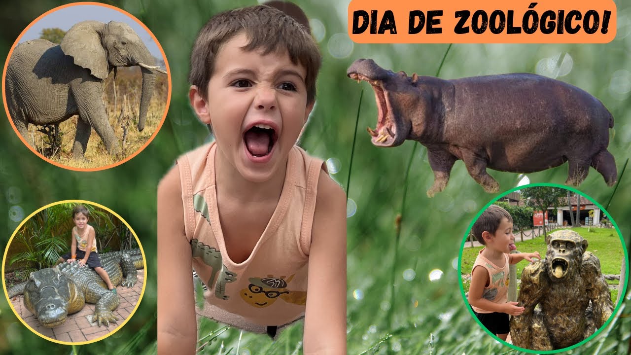 ZOOLÓGICO!!!! Eu amo os animais!