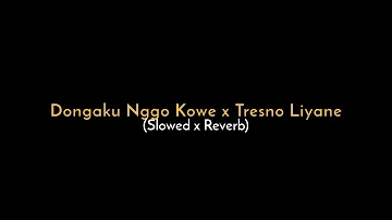 Dongaku Nggo Kowe x Tresno Liyane (Slowed + Reverb) Expros gm🎧