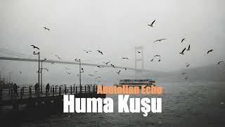 Huma Kuşu - Psychedelic Anatolian Rock Cover Anatolian Echo