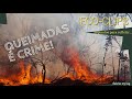 ECO CLIPS nº 34 - Segundos para Refletir (Queimadas é crime  - 3/4)