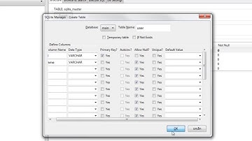 SQLite Manager Basic