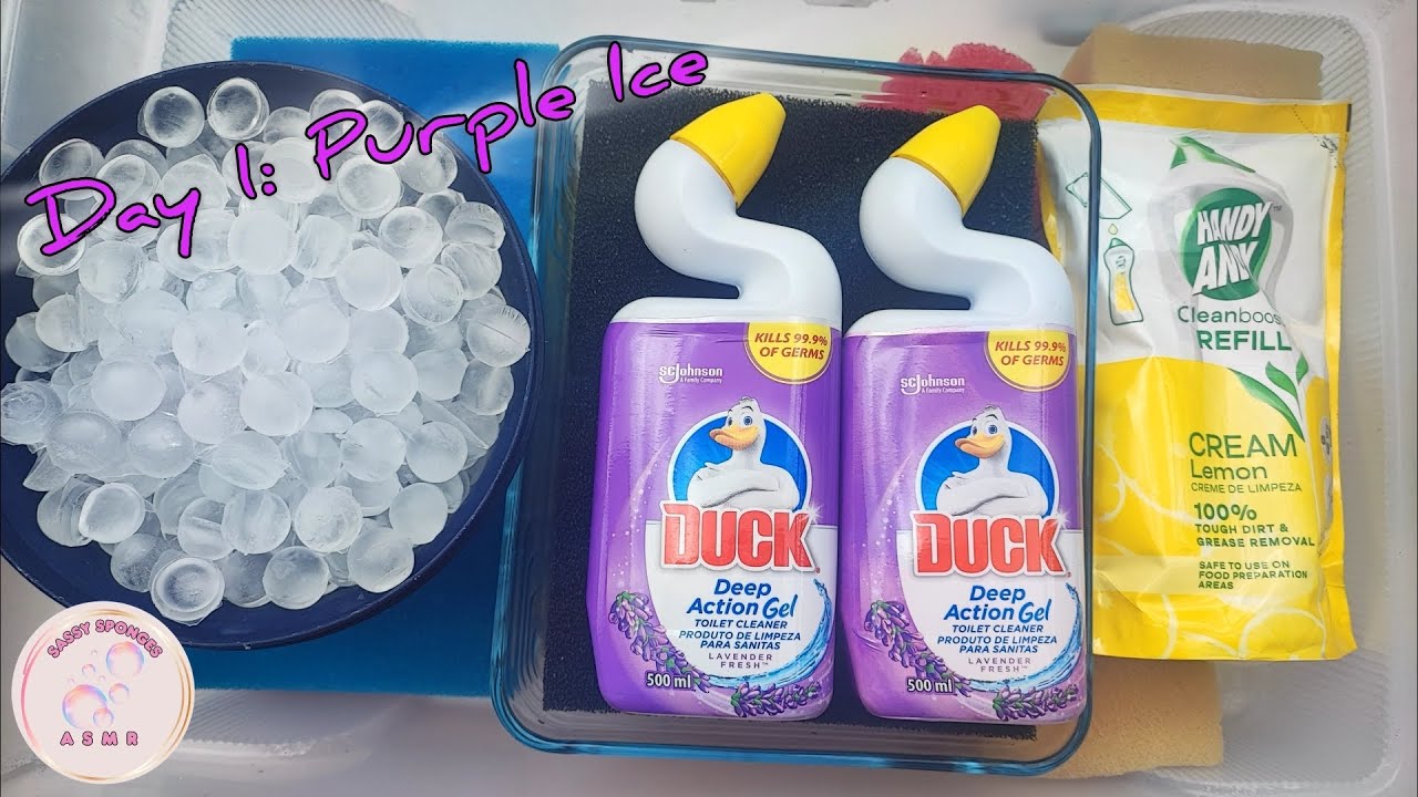 Day 1 Ice🧊💜 Lavender Toilet duck 🍋Lemon cream cleaner 🫧Sudsy rinse water