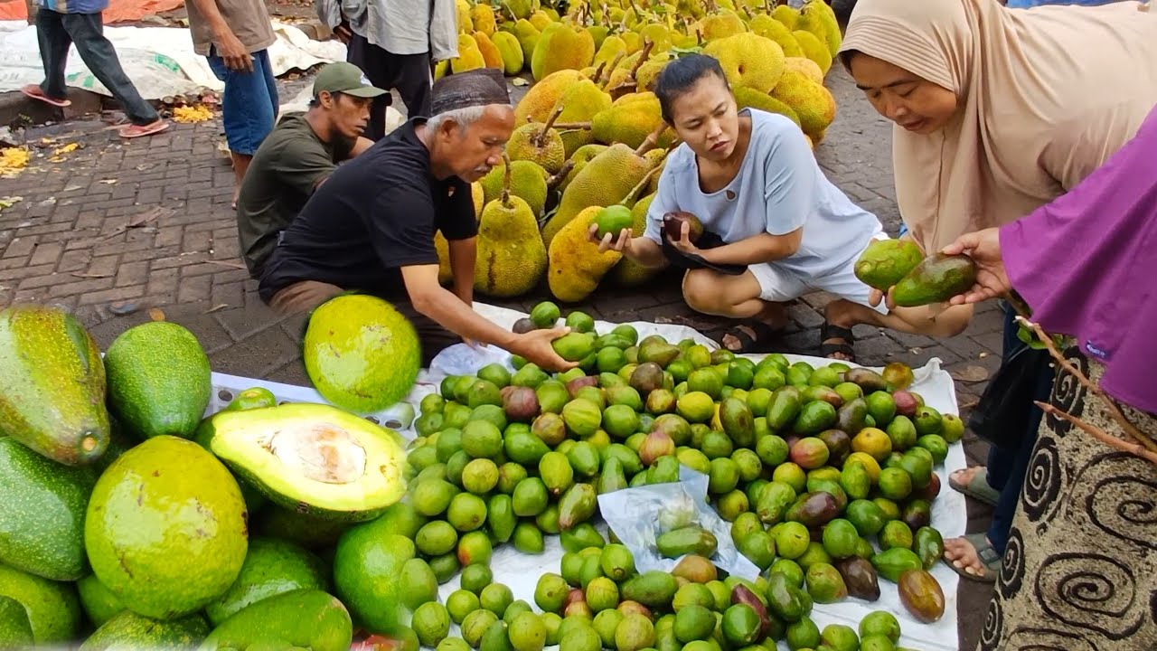 MINGGU PAGI BELI ALPUKAT MENTEGA DI PASAR PASREPAN PASURUAN