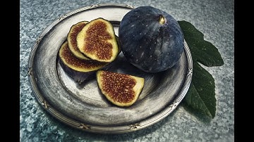 How to Pinch or Tip Fig Trees to Induce Fruiting (even in warm climates)