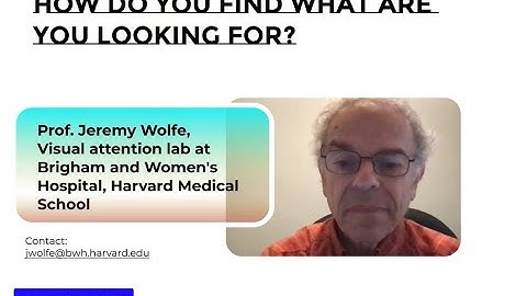 Prof. Jeremy Wolfe: How do you find what you are looking for - from a cognitive perspective