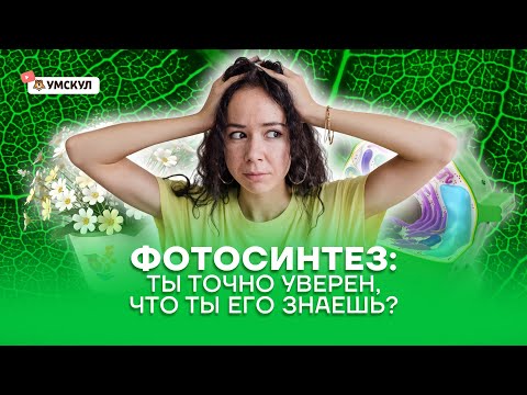 Видео: Увеличивает ли фотосинтез массу?