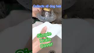 Easiest Dog Bath Cleanup for this long haired Old English Sheepdog!!