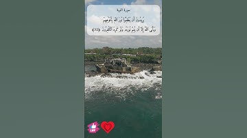 يريدون ان يطفئوا نور الله بأفواههم ويأبى الله إلا أن يتم نوره ولو كره الكافرون | سورة التوبة