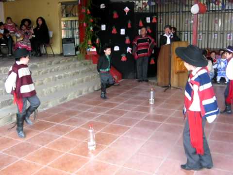 Escuela Andres Bello Colbún - Baile del costillar