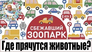 Необычная книга по поиску животных с «волшебной лупой»: Необычная книга по поиску животных с «волшебной лупой»: