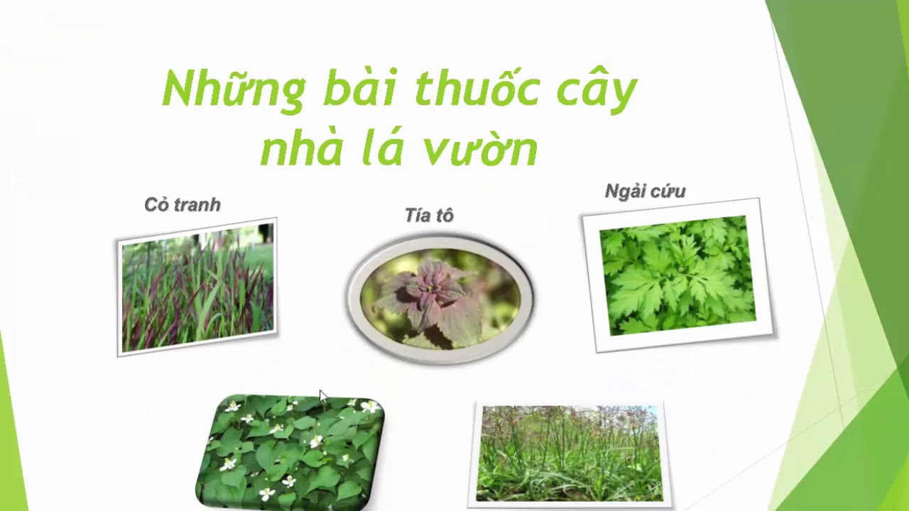 Tạo hiệu ứng chuyển động cho ảnh và text trên một slide