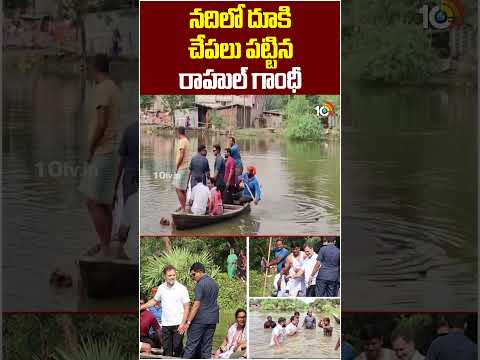 నదిలో దూకి చేపలు పట్టిన రాహుల్‌ గాంధీ | #rahulgandhi #fishing #viralvideo #10tvnews