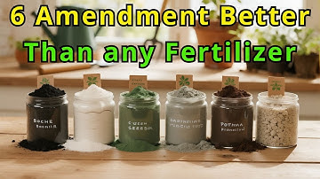 How 6 Hidden Minerals Triple Your Harvest (That Fertilizer Never Provides)