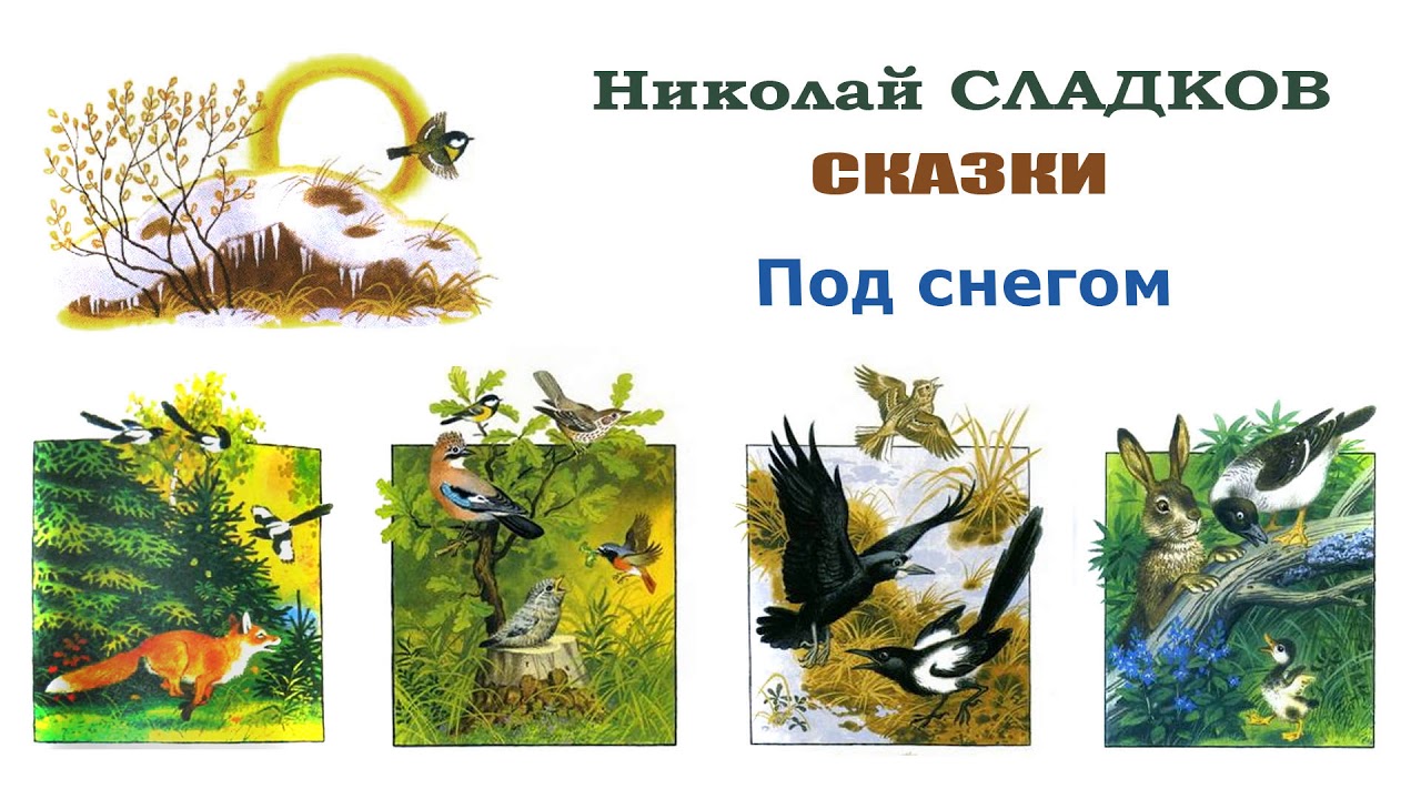 Сладков Подарки На Новый Год