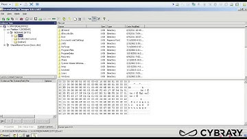 1025 43   Data Acquisition FTK Imager Lab   Computer and Hacking Forensics