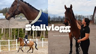 - Stallvlogg - åker på äventyr ☀️🐴