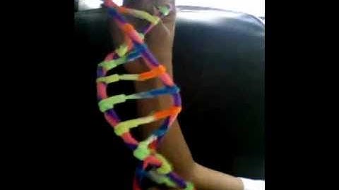 HOW TO MAKE A DNA MODEL USING PIPE CLEANERS!!