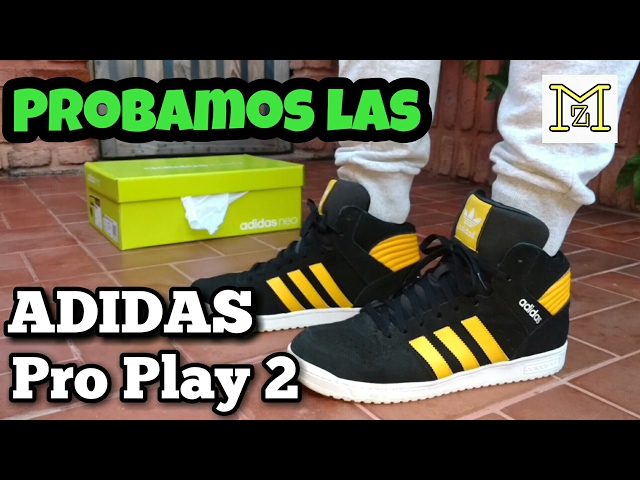 Stewart island Cordelia bankruptcy Review ADIDAS Pro play 2 MID - YouTube