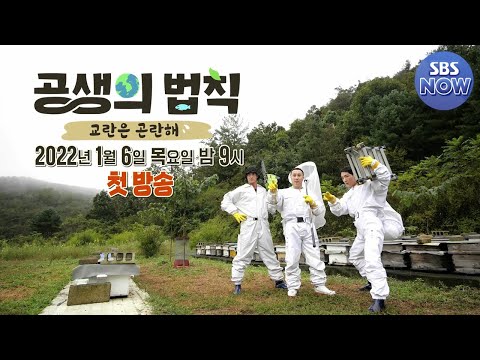 [2차 <strong>티저</strong>] ‘공생의 법칙’ 3천 <strong>마리</strong> 말벌떼에 둘러싸인 김병만x배정남x박군! #공생의법칙 | SBSNOW