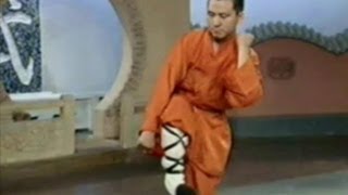 Shaolin Kung Fu: 18 fight techniques