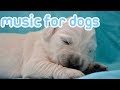 How to Calm My Dog with Music! Soothing Sounds for Dogs!