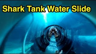 Enjoy a plunge through shark filled aquarium! leap of faith is one my
favorite rides at atlantis and must do for all visitors. i hope you
th...