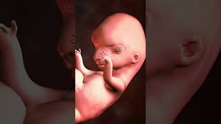 ప్రెగ్నెంట్ డ్యూ డేట్ aarushsonofsushma junnucomedyvideos pregnancytips pregnancycare pregnancy