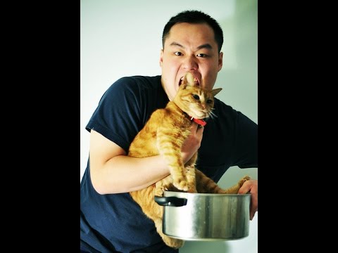 Asian Eating Cat 3