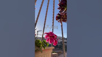 تلاوة عطرة من سورة طه |•🎧🍃