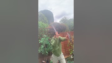 Vertical downward cut with a tabar (axe) #shorts