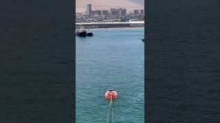 Mysterious Sea Creatures Captured -