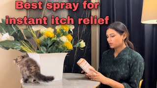 Best spray for fungal infection in cats |how to cat help | skin infection in cats