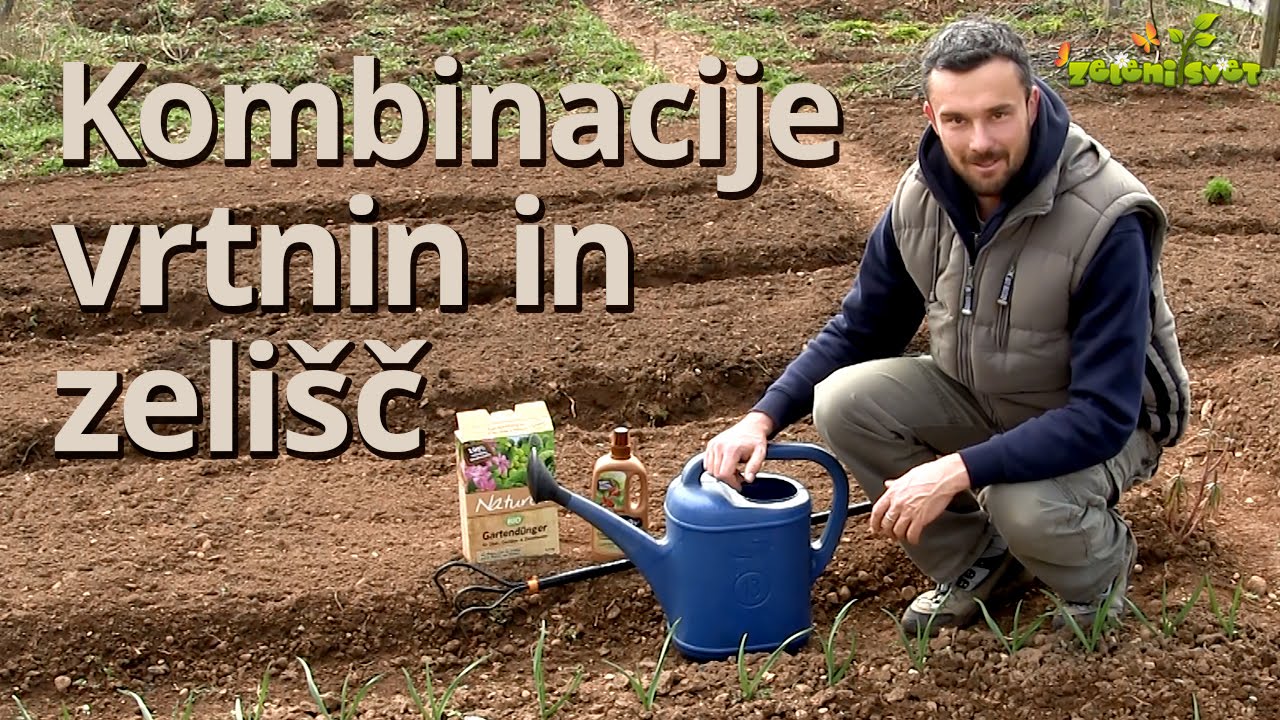 Prva opravila v zelenjavnem vrtu