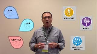 Building Safety Month Day 4: How Code Compliance Can Reduce Vector-Borne Diseases