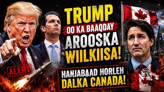 TRUMP OO KA BAAQDAY AROOSKA WIILKIISA IYO HANJABAAD HOR LEH UU U DIRAY DALKA CANADA 🇨🇦