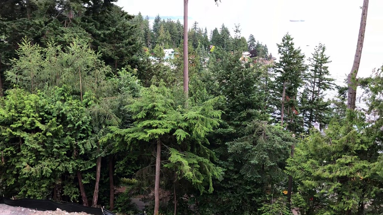 Turf in the Backyard || Turf’d Out Synthetic Grass