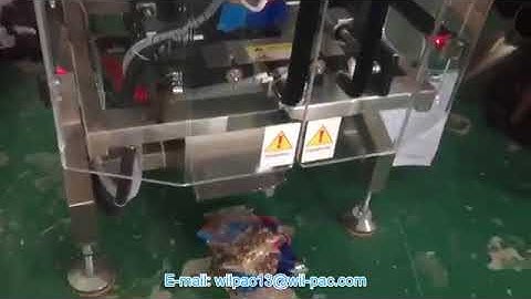 Peanut Packing Operation (ED4230+Single head linear weigher) Trial Testing Video from Wilpac