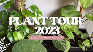 Mon premier PLANT TOUR 🪴: Été 2023