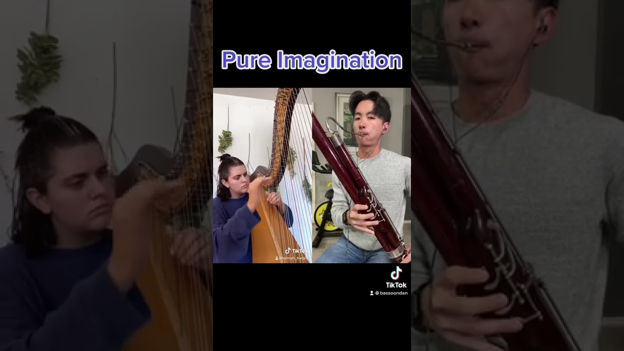 pure imagination but for harp and bassoon