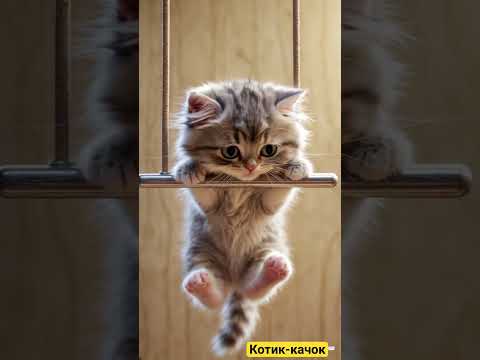 Котик-качок! Маленький герой подтягивается на турнике! 😻💪 #funny #cat #нейросеть #котик
