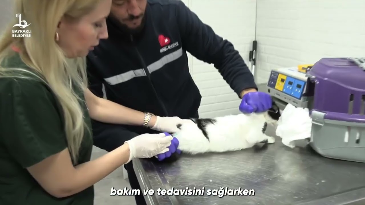 2025 Yılı Bayraklı İçin Çalışmalarımız