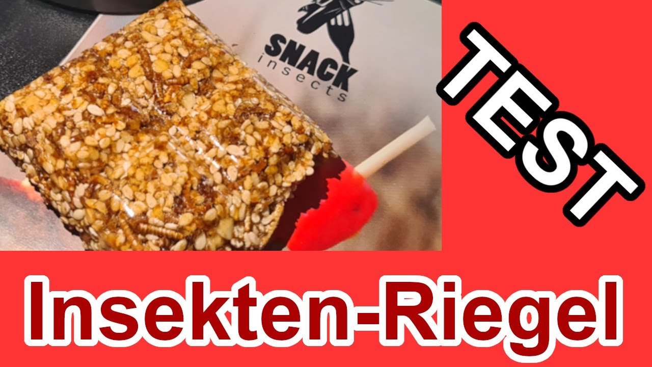 Update Wir essen Insektenriegel 🍡 Energieriegel von snackinsects. Lecker oder megalecker? Ob Rico kotzt?
