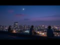 Late Night Chillstep Mix 2026 🌌 Deep Melodic Dubstep for Sleep & Study 🎧