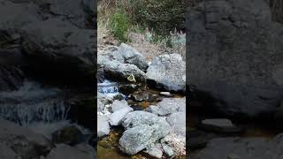 Download Lagu 그리움만 눈물 속에 띄워 보낼 뿐이죠. I can only let my longing drift away in my tears. 300986 MP3