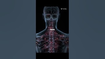 Thumbnail of blood veins or hand veins 🤌😖👤 #edit #amv #slowedandreverb #music #quitezy #songs
