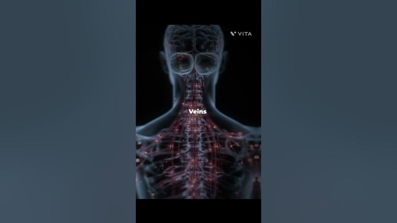 blood veins or hand veins 🤌😖👤 #edit #amv #slowedandreverb #music #quitezy #songs