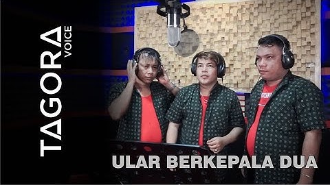 TAGORA VOICE - ULAR BERKEPALA DUA - LAGU BATAK TERBARU 2021 ( GIDEON MUSIC PRODUCTION )