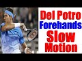 Del Potro Forehands In Slow Motion #2